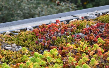 the cost of Rogiet green roof installation