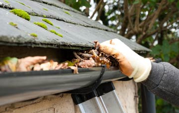 gutter cleaning Rogiet, Monmouthshire