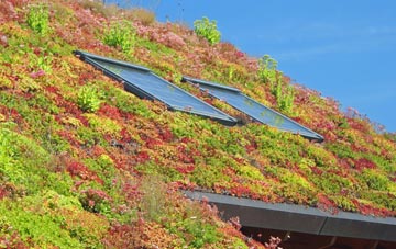 Rogiet living roof systems