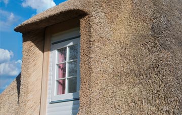 Rogiet thatch roof disadvantages